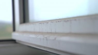 Açık bir pencerenin çerçevesindeki kir. Çevre sorunları