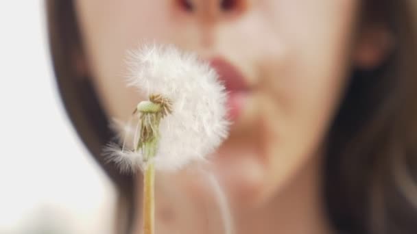 Primer plano. labios femeninos soplan en un diente de león blanco esponjoso — Vídeo de stock