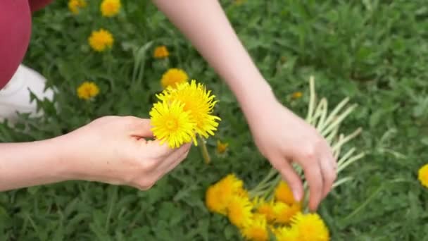 Een close-up. vrouwelijke handen weven een krans van gele paardebloemen — Stockvideo