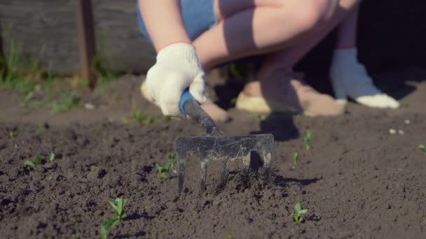 Primer plano. aflojando el suelo en el jardín en un día claro de primavera . — Vídeos de Stock