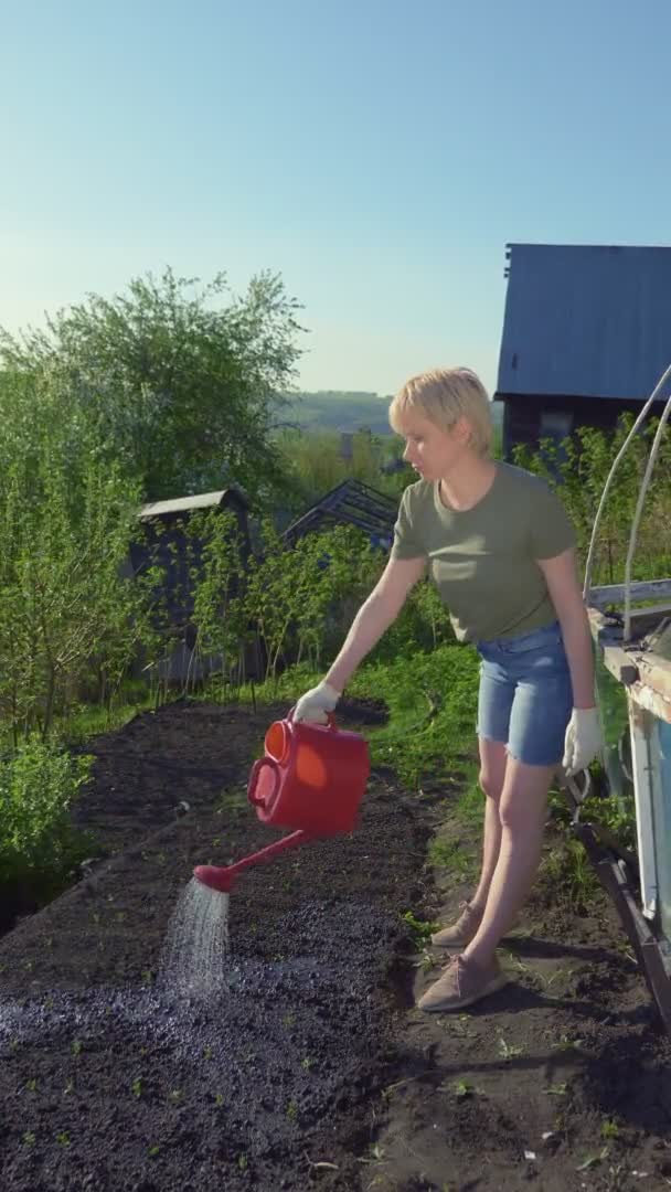 Вертикально. молода жінка поливає грунт в саду з балончика для поливу — стокове відео