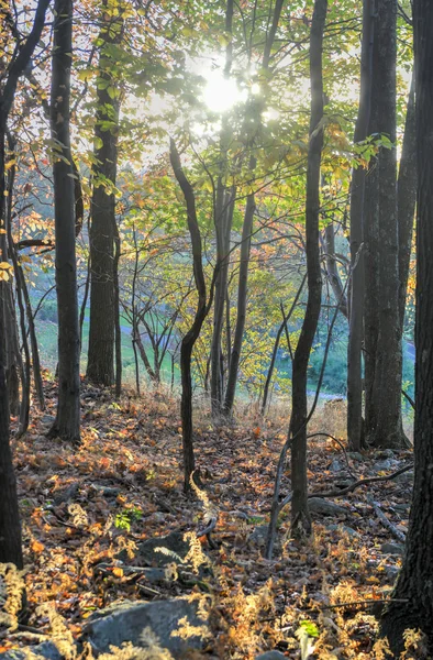 Mohonk Preserve em New Paltz, Nova Iorque — Fotografia de Stock