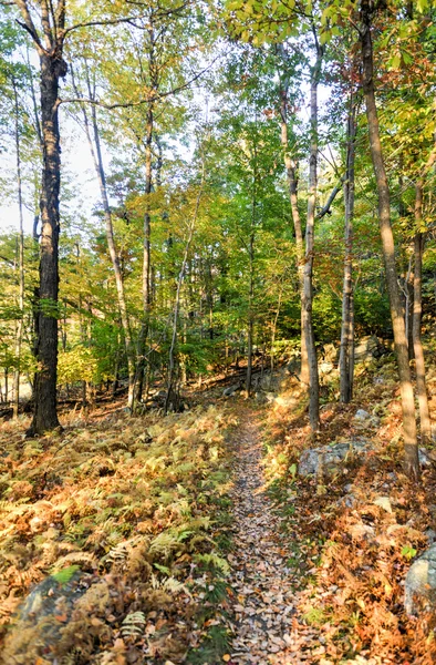 Mohonk Preserve em New Paltz, Nova Iorque — Fotografia de Stock