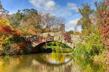 New York'ta sonbahar Central Park'ta