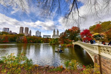 New York'ta sonbahar Central Park'ta