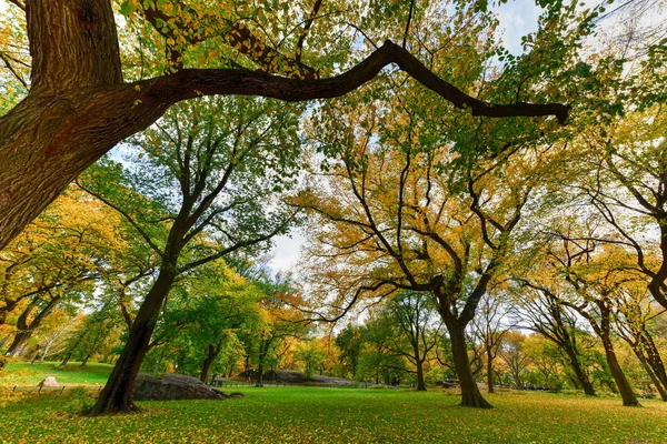 Central Park in autunno a New York — Foto Stock