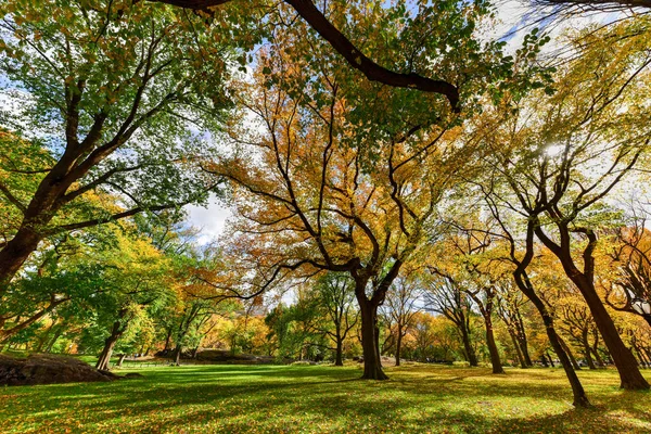 Central Park in autunno a New York — Foto Stock