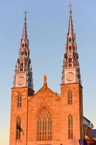 Ο Καθεδρικός Ναός Notre-Dame - Οττάβα, Καναδάς — Φωτογραφία Αρχείου