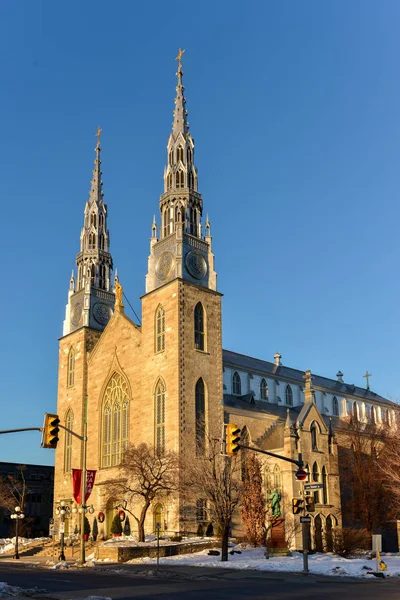 De kathedraal van Notre-Dame - Ottawa, Canada — Stockfoto