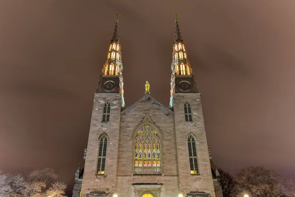 Katedralen Notre-Dame - Ottawa, Kanada — Stockfoto