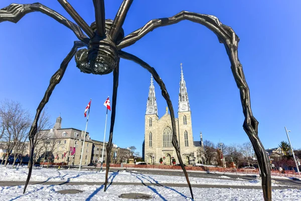 Galleria Nazionale del Canada - Ottawa — Foto Stock