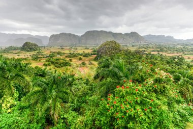Vinales vadi Panorama - Küba
