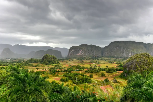 Panorama doliny Vinales - Kuba — Zdjęcie stockowe