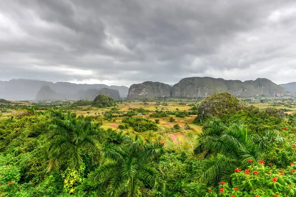 Panorama doliny Vinales - Kuba — Zdjęcie stockowe