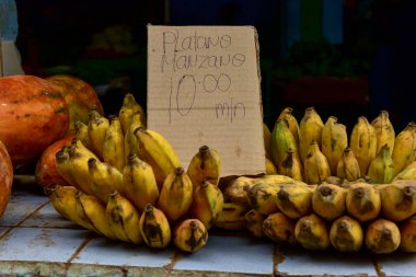 Meyve Stand - Havana, Küba