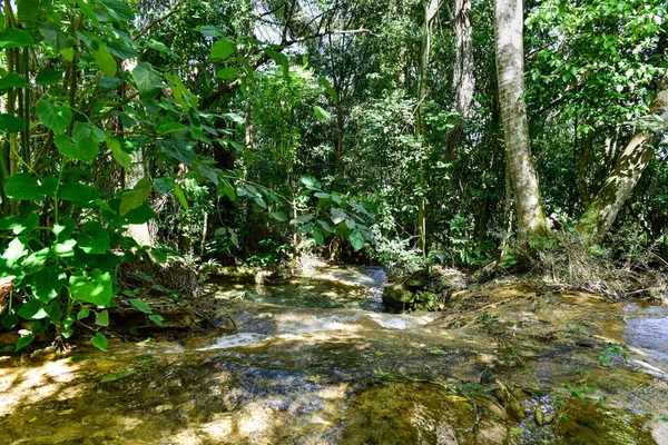 Cascadas El Nicho en Cuba —  Fotos de Stock