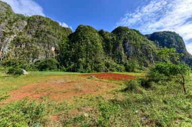 Vinales vadi Panorama - Küba
