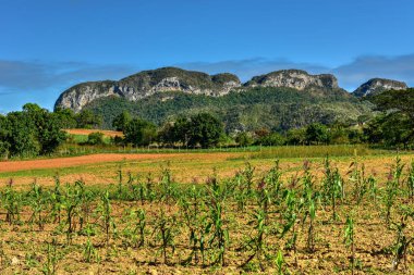 Vinales vadi Panorama - Küba