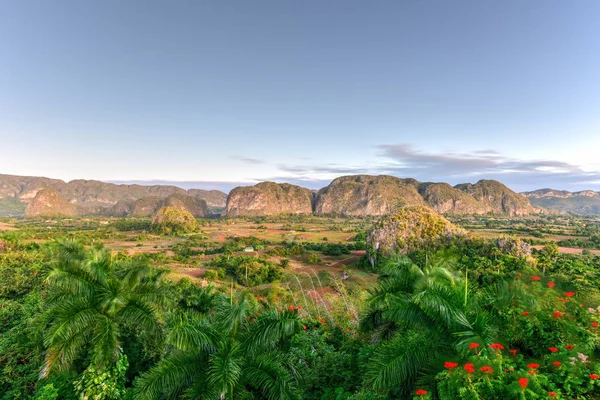 Vinales Valley Panorama - Cuba — Stock Photo, Image