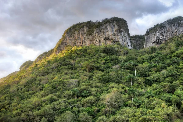 Vinales Valley Panorama - Cuba - Stock-foto