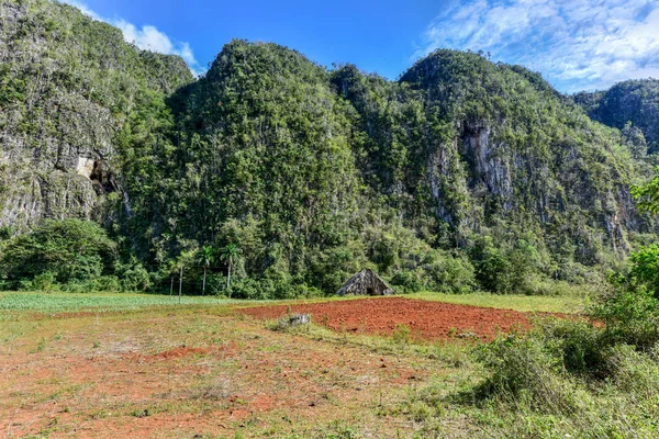 Vinales Valley Panorama - Cuba - Stock-foto