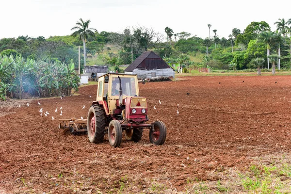 Campo de vazamento de trator - Cuba — Fotografia de Stock