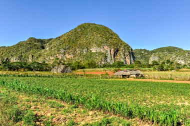Vinales vadi Panorama - Küba