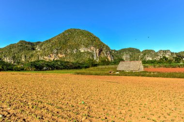 Vinales vadi Panorama - Küba