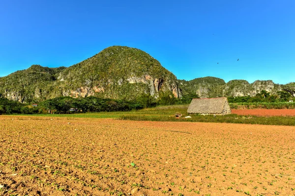 Vinales vadi Panorama - Küba