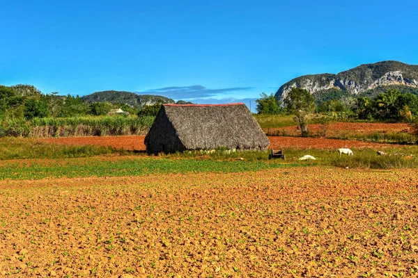Panorama doliny Vinales - Kuba — Zdjęcie stockowe