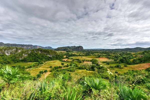 Vinales, Kuba Panorama — Zdjęcie stockowe