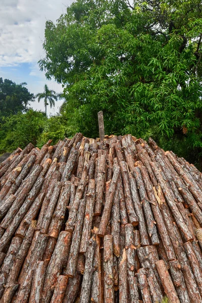 Wood pyre of pine logs — Stock Photo, Image