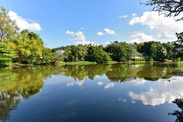 Almendares Park - Hawana, Kuba — Zdjęcie stockowe