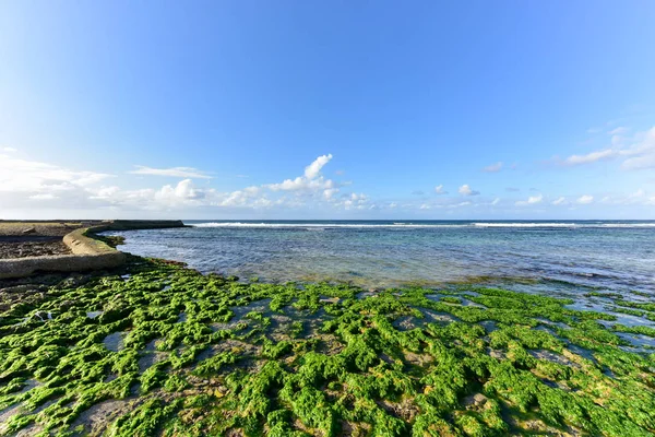 Plaża w Alamar - Hawana, Kuba — Zdjęcie stockowe