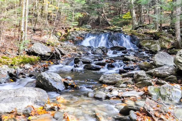 Mount Washington State Forest — Foto Stock