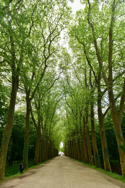 Chateau de Chenonceau Gardens - Francia — Foto de Stock