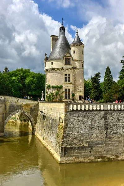 Chateau de Chenonceau Gardens - Francie — Stock fotografie