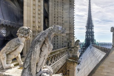 Notre dame Katedrali - paris, Fransa