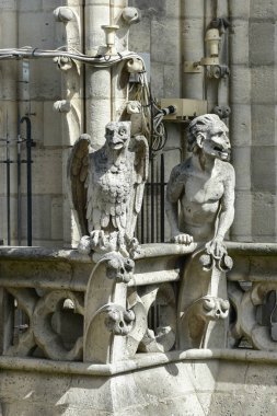 Notre dame Katedrali - paris, Fransa