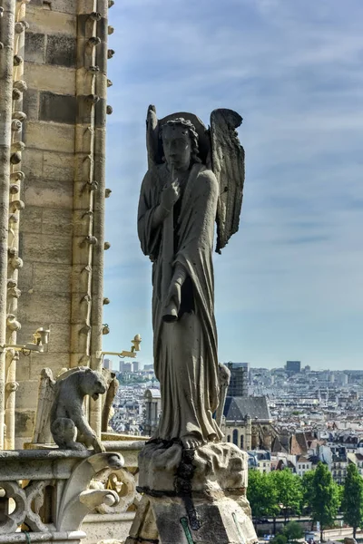 Catedral de Notre Dame - París, Francia — Foto de Stock