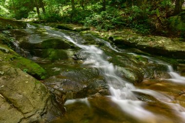 Shenandoah Milli Parkı - Virginia