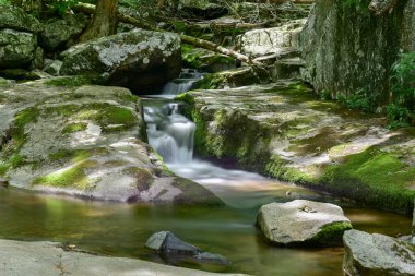 Shenandoah Milli Parkı - Virginia
