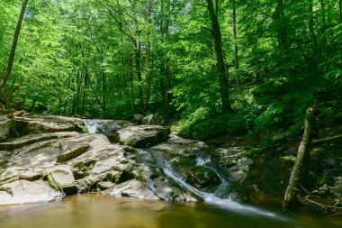 Shenandoah Milli Parkı - Virginia