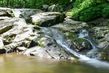 Shenandoah Milli Parkı - Virginia