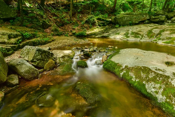 Shenandoah Milli Parkı - Virginia — Stok fotoğraf