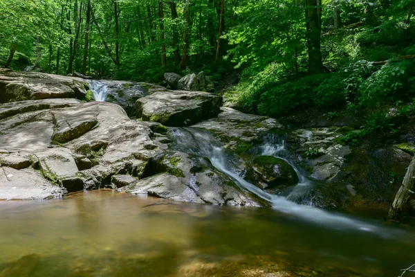 Shenandoah Milli Parkı - Virginia