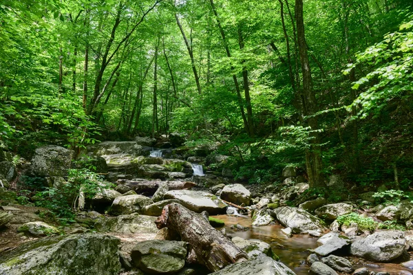 Parque Nacional Shenandoah - Virginia —  Fotos de Stock