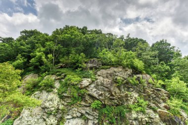 Shenandoah Milli Parkı - Virginia