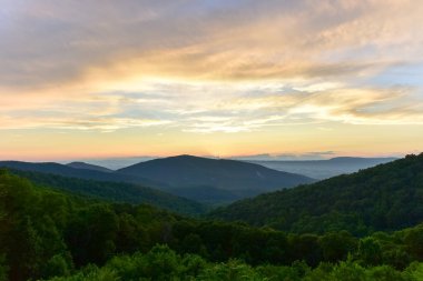 Shenandoah Milli Parkı - Virginia
