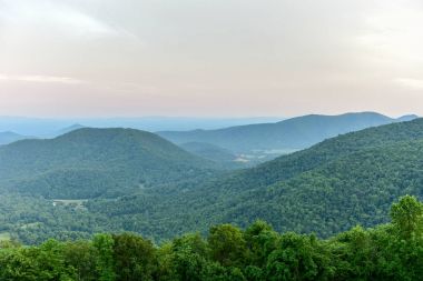 Shenandoah Milli Parkı - Virginia